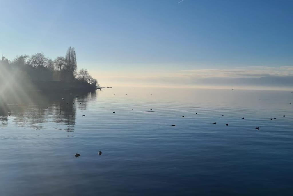 Le Boreal Apartman Thonon-les-Bains Kültér fotó